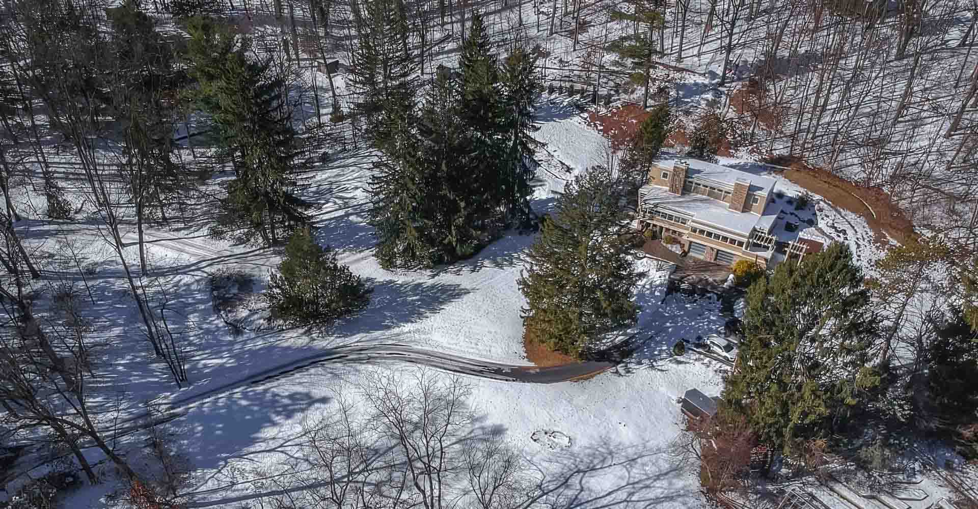snowy woods and house