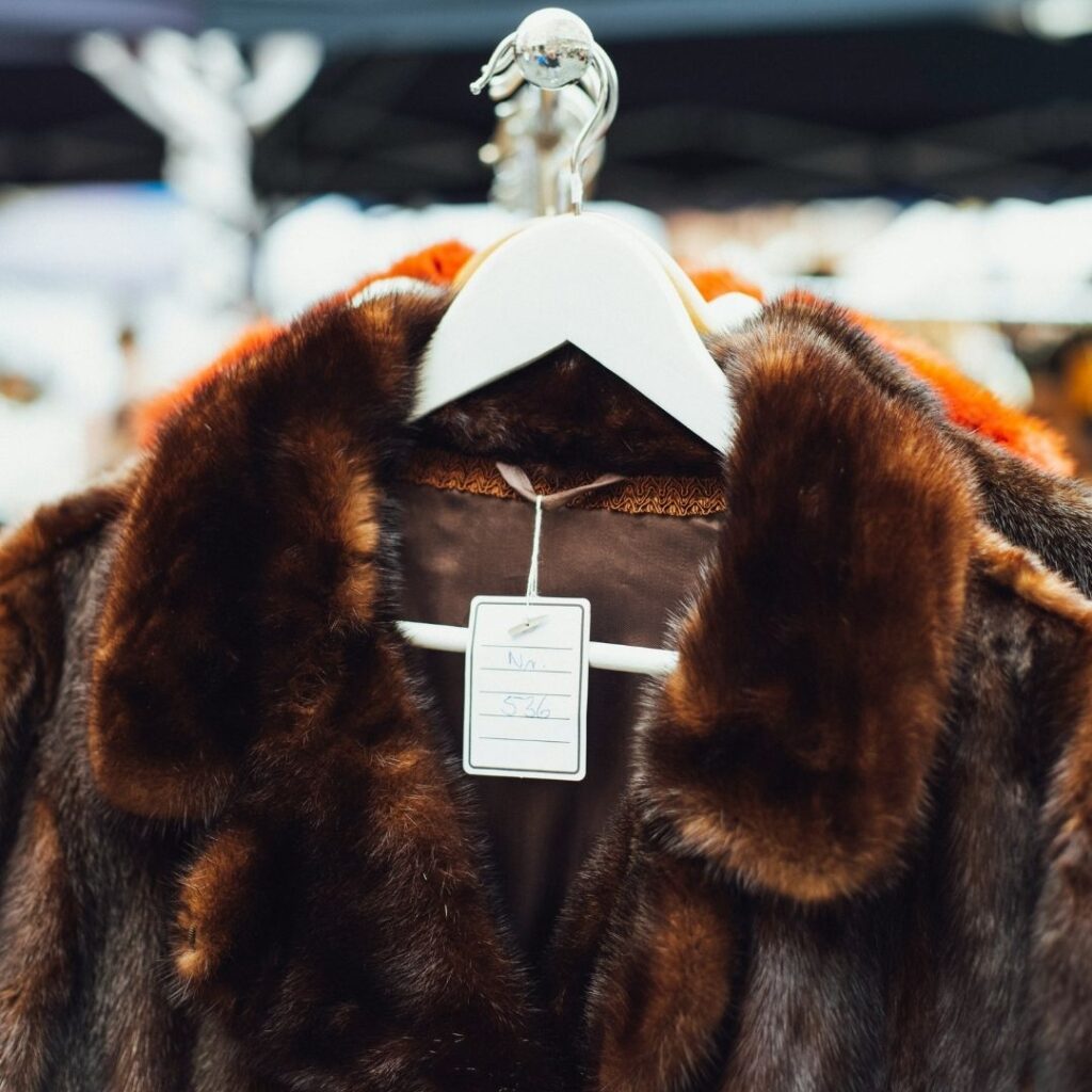 Image of an expensive fur coat hanging in a store.
